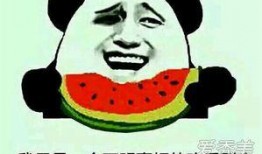 调侃别人是吃瓜群众,揭秘网络调侃背后的趣味与智慧