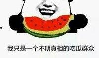 q版吃瓜表情