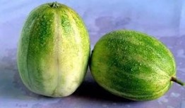 上海吃的瓜,探寻沪上特色小吃的故事