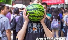 陕师大情侣吃瓜,校园甜蜜瞬间引发网友热议