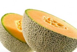 开栅吃瓜,夏日里的悠闲时光