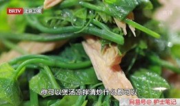 小瓜篓怎么吃,解锁美味新体验