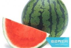 吃瓜可以吃胖吗,吃瓜也能增肥？揭秘吃瓜与体重的关系