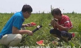 吃瓜吃到了啥,你吃到了什么？