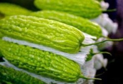 孕妇可以吃黄藤瓜吗