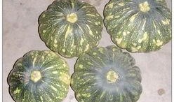 猜一猜吃瓜,吃瓜群众背后的故事