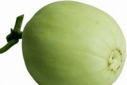 绿色梨瓜怎么吃,探索健康美味的新选择