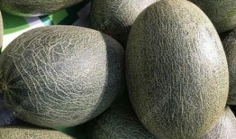 杏和哈密瓜能一起吃