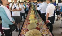 朝阳观众吃瓜,观众吃瓜盛宴背后的故事