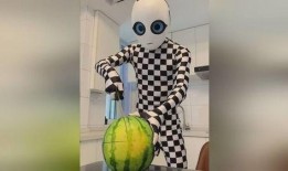 机器人 吃瓜,机器人“吃瓜”背后的科技与伦理探讨