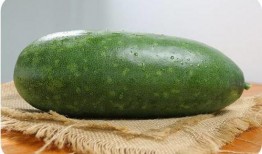 有瓜没人吃,揭秘“有瓜没人吃”的尴尬现象