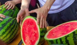 宿迁学校吃瓜,揭秘校园食品安全背后的真相