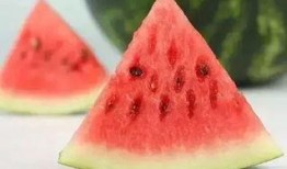 吃瓜视频大全冬天,盘点那些冬季热门视频大全