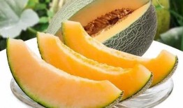 委瓜怎么吃,探索美味与营养的完美结合