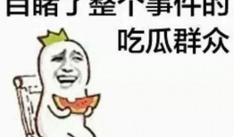 吃瓜群众小瑶