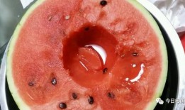 今年吃瓜的感想,笑料百出，感悟人生