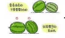 正确吃瓜的方式