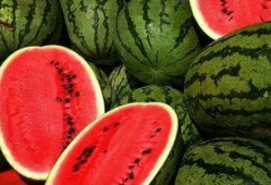 长江新视窗吃瓜