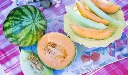 玲珑瓜哈密瓜怎么吃,玲珑瓜与哈密瓜的多样食法探索