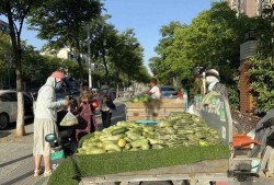 宿迁学校吃瓜,揭秘校园食品安全背后的真相