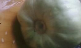 手上吃瓜就起红点,揭秘过敏体质的“瓜果陷阱”