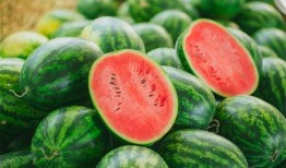 阿红吃瓜视频,揭秘娱乐圈幕后真相