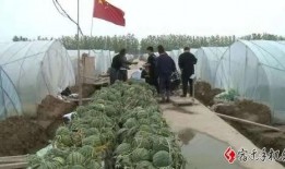 宿迁学校吃瓜,揭秘校园食品安全背后的真相