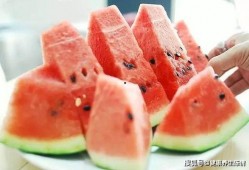 吃瓜冬天,揭秘冬季美食盛宴背后的故事