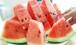 吃瓜冬天,揭秘冬季美食盛宴背后的故事