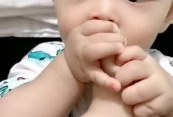 宝宝吃瓜啃猪蹄