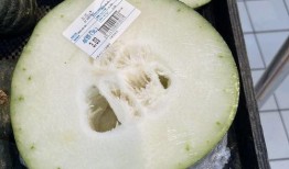 成都工厂吃瓜,一场别开生面的“吃瓜”盛宴