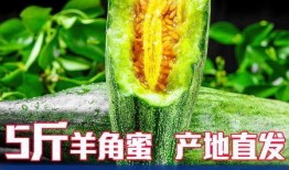 羊角蜜瓜孕妇吃,孕妇的天然营养佳品