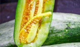 中馨苑吃瓜,揭秘吃瓜群众的狂欢盛宴