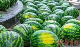 信阳农林吃瓜曝光,校园风波背后的真相揭晓