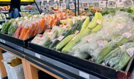 成都工厂吃瓜,一场别开生面的“吃瓜”盛宴