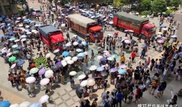 各大高校吃瓜视频群,揭秘校园生活那些事儿