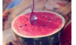 糖尿病人可以吃毛瓜,毛瓜的养生功效与食用指南